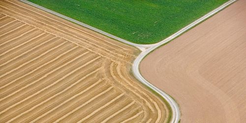 Lantbrukare fälls för miljöbrott – glömde kran
