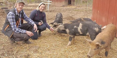 Nya slakteriet ska få växa långsamt