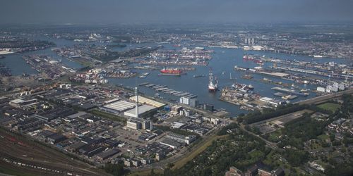 Brittiskt griskött ruttnar i holländsk hamn