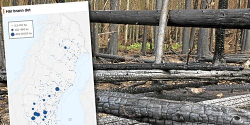 Så ska bönder förhindra nya katastrofer