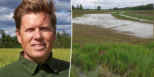 Oro för syrebrist efter regnen