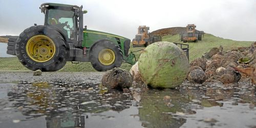 Ny smäll för förlustdrabbat biogasföretag