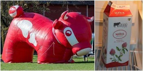 Grådö Mejeri vill locka Arlabönder i Gävleborg