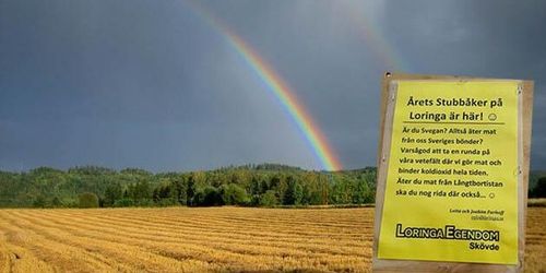 Uppskattat tilltag ger galoppchans