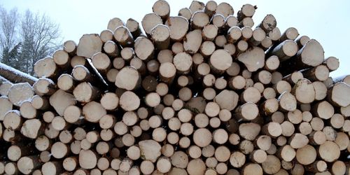 Ny referensnivå dröjer