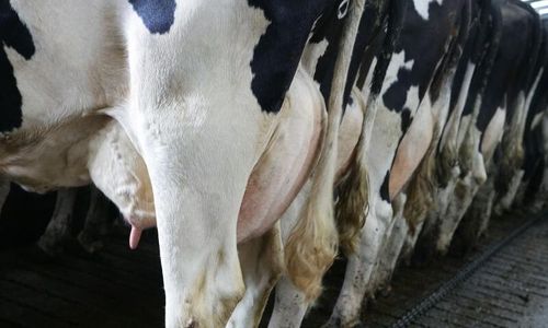 Får böta 18 000 kronor