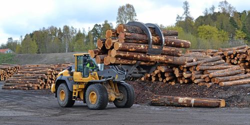 Skogens filéer ger bättre betalt