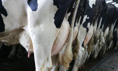 Så ska unga lära sig mer om resistens