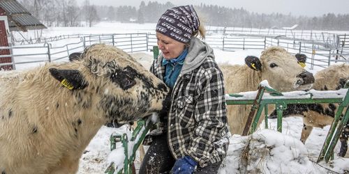 Byn går samman för att säkra fjällkons framtid