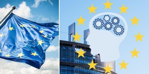 Grafik: Så väljer du din EU-parlamentariker