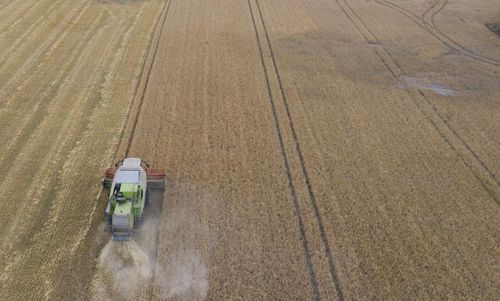 Livsmedelspriserna stiger - högsta sedan 2014