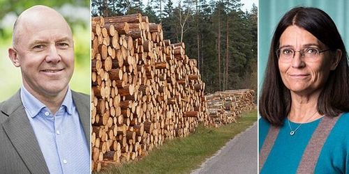 Skogsindustrierna: Regeringen vill begränsa skogsbruket