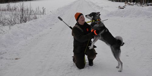 Jakten på de sista älgarna