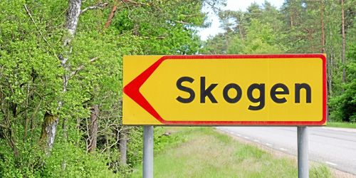 Remissrusning till Skogsutredningen