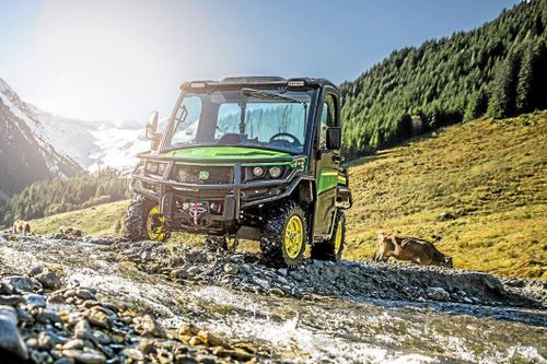 Ny storebror i Gator-familjen