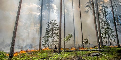 Ny skogsbrand i Sala