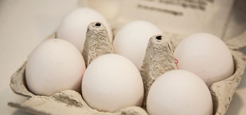 Så agerar Svenska Ägg efter djurrättsfilmen