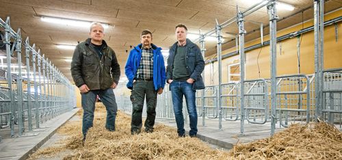 Jättestall för suggor byggs på Varaslätten