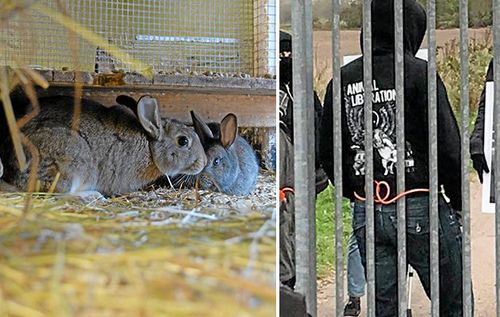 LRF om aktivisthot: ”Säg ingenting, ring polisen”