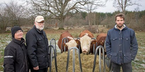 Generationsskifte på prisbelönt köttgård