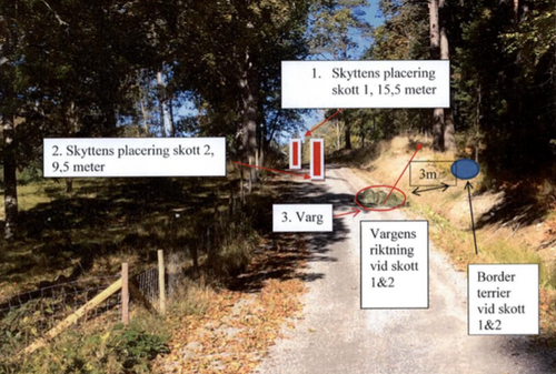 Skiss över placeringen för vargen, hunden skytten när tiken sköts.
