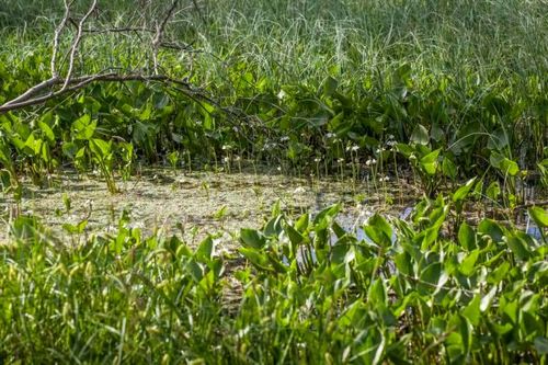 Länsstyrelse krävs på 130 000 i skadestånd