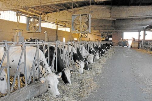 EU-domstolen: ”Räntefri avbetalning olaglig hjälp”