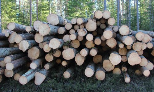 Emissionsinsatser inget eget kapital