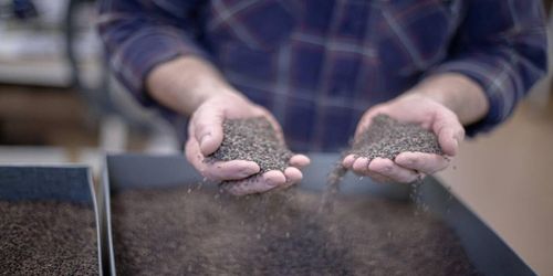 Frörekord för Skogforsk