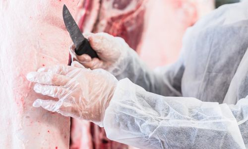 Nedåt på flera fronter för HK Scan