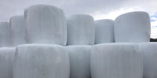 JO-anmälan efter import av dåligt hästfoder