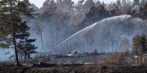 ”Äntligen kom regn”