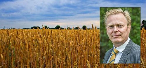 Har vi redan sett toppen?