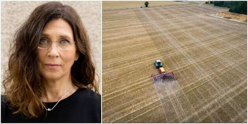 Forskare: Bevuxen mark hela året ökar skörden