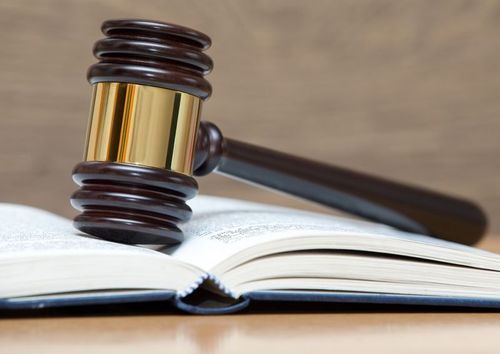 Sänkt straff för djurplågeri