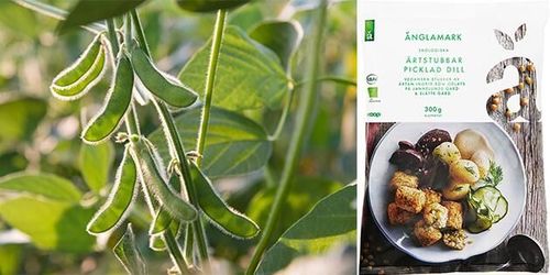 ”Sojan kan öppna för svenska proteingrödor”