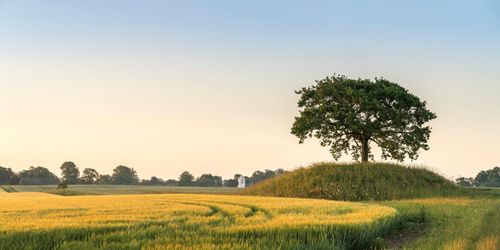 ”Bygg inte fängelse på den bästa odlingsjorden”