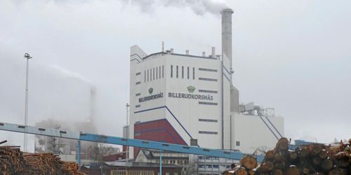 Många vill köpa skog av Billerud Korsnäs