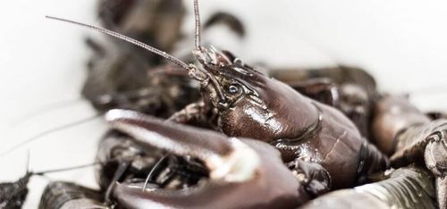 42-åring döms till fängelse