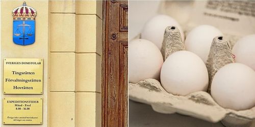 Rättegångssmäll för äggproducent