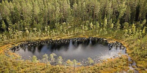 Metsä köper skyddsvärd skog