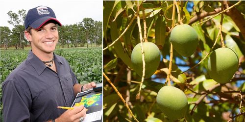 Ny jordbruksteknik i fokus – forskar för 45 miljoner