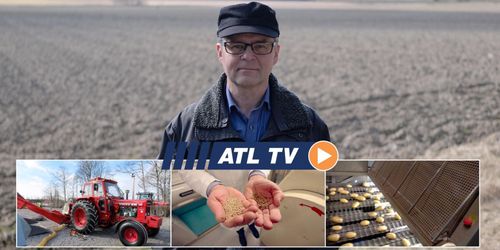 ATL TV: Kameror sorterar potatisen