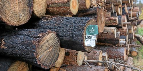 Höga virkespriser gynnade Sveaskog