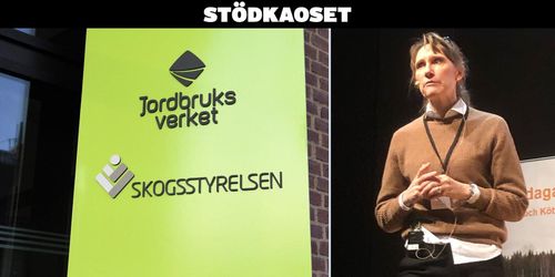 Efter stödkaoset: Lovar gå till botten med problemen