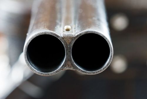 Tog rådjur i bilen - dömd för jaktbrott