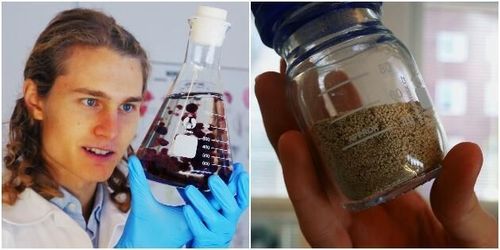 De bygger algfabrik – för att minska metanutsläpp