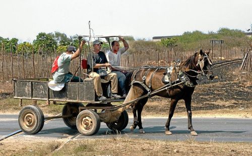 Jordbruket kollapsade med sovjetsystemet