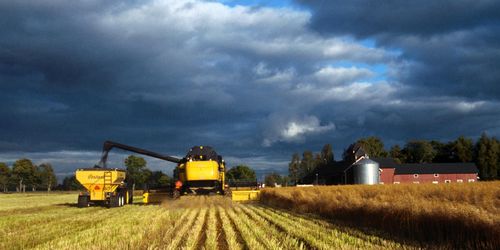 Oro för ostadigt skördeväder