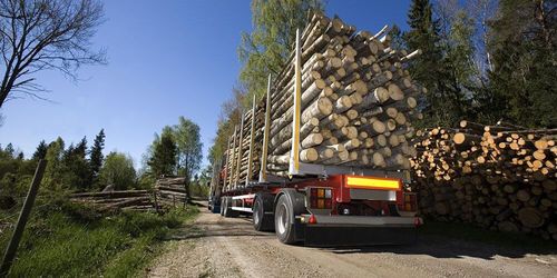 Ny teknik kan ta över virkesmätningen